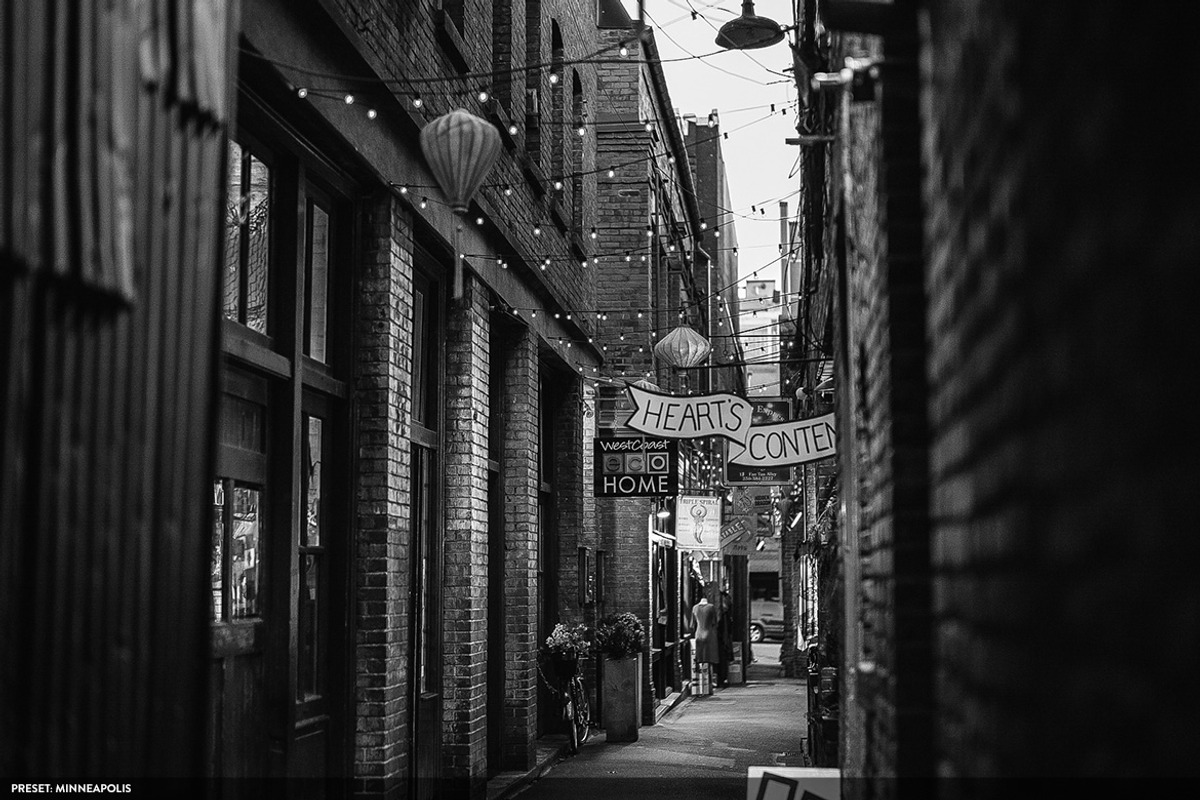 50 Monochromatic Presets for Ps - Lr, a Preset Add-On by ShinyPixel (Photo 7 of 17)