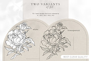 Line Art Peonies Illustrations, a Decorative Illustration by La Petite Line Art (Thumbnail 7 of 11)