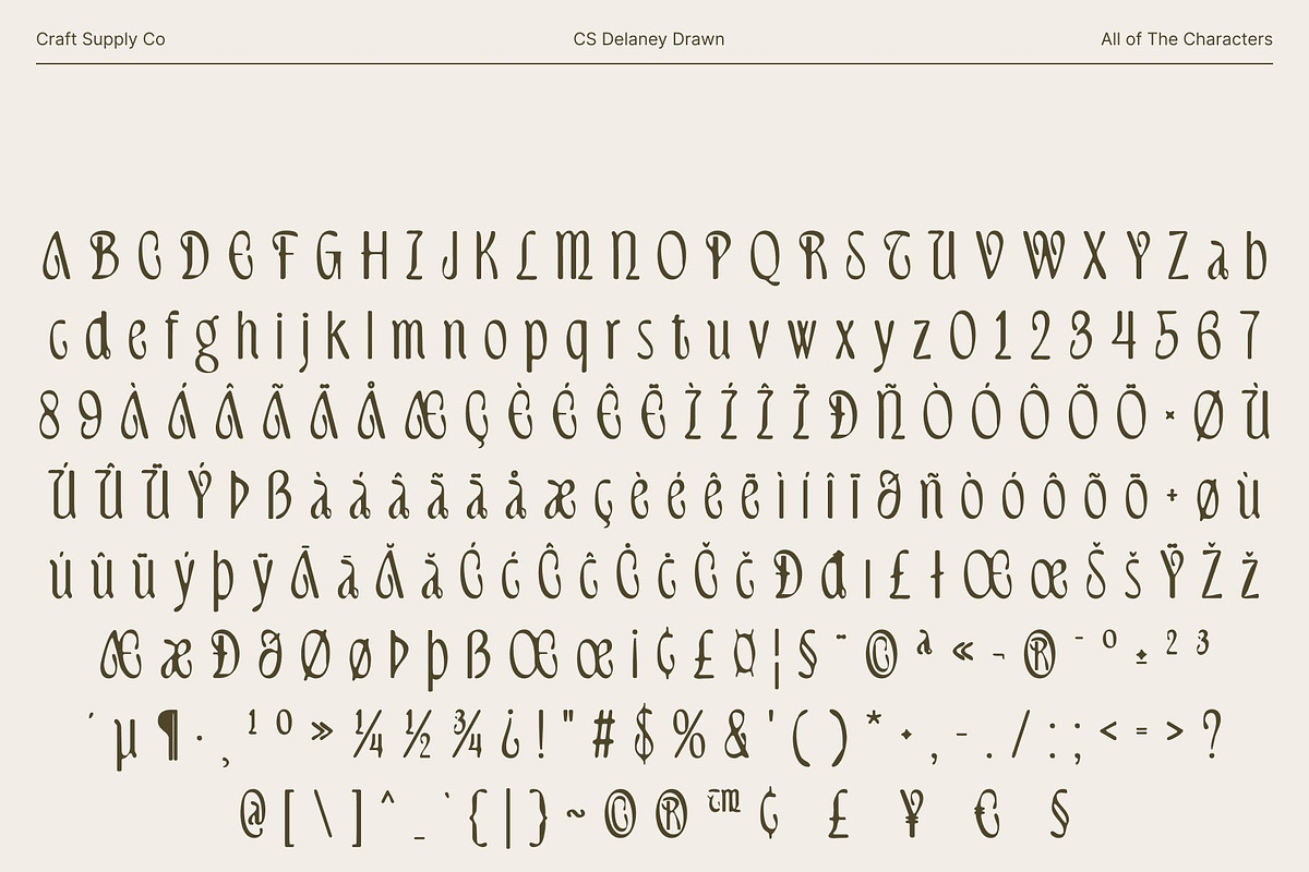 CS Delaney Drawn, a Serif Font by Craft Supply Co. (Photo 8 of 8)