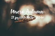 Macro Autumn photo bundle, a Templates & Theme by ApertureVintage (Thumbnail 10 of 21)