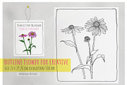 50 State Flowers for Coloring books, a Graphic by Hanatist Studio (Thumbnail 3 of 8)