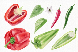 Watercolor Vegetables And Herbs