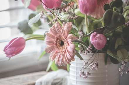 Spring florals featuring flowers, floral, and spring