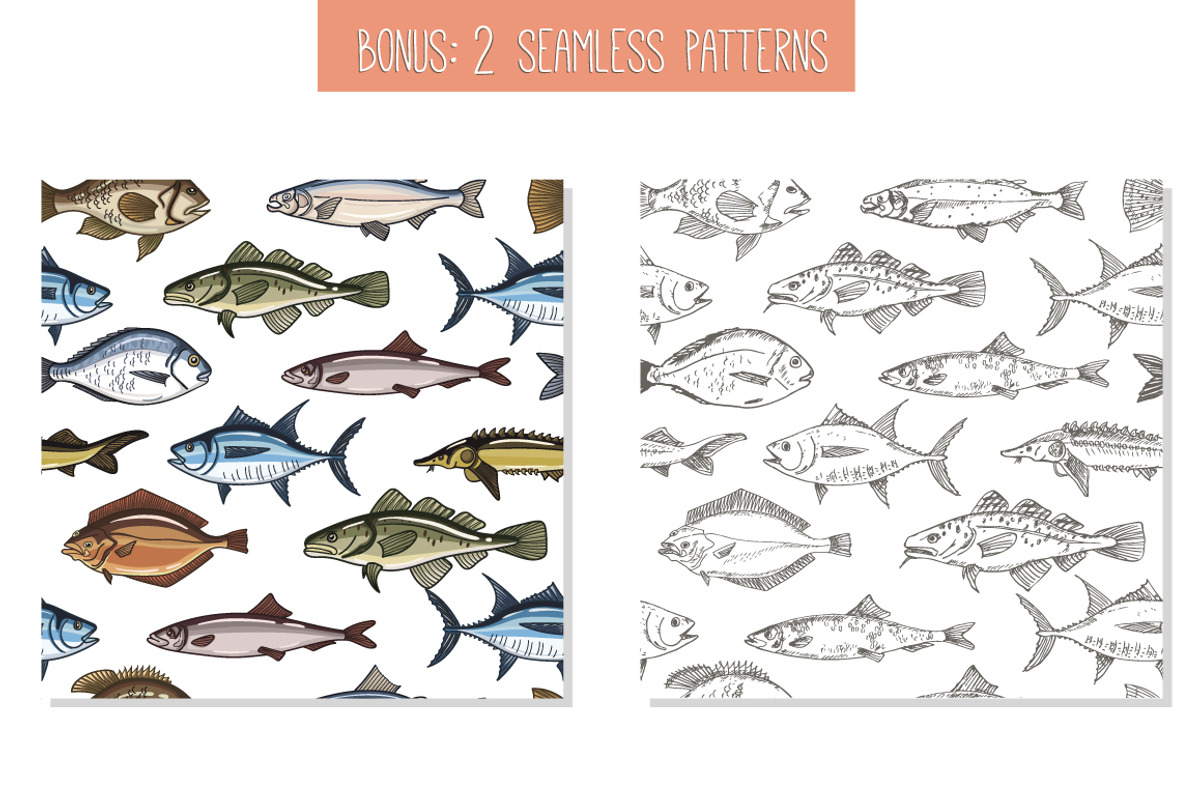 Fish Collection and patterns, an Object Graphic by Tatti Graphic Studio (Photo 3 of 3)