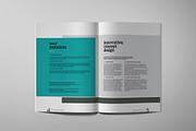 Project Brochure Template, a Brochure Template by Kingtown (Thumbnail 3 of 7)