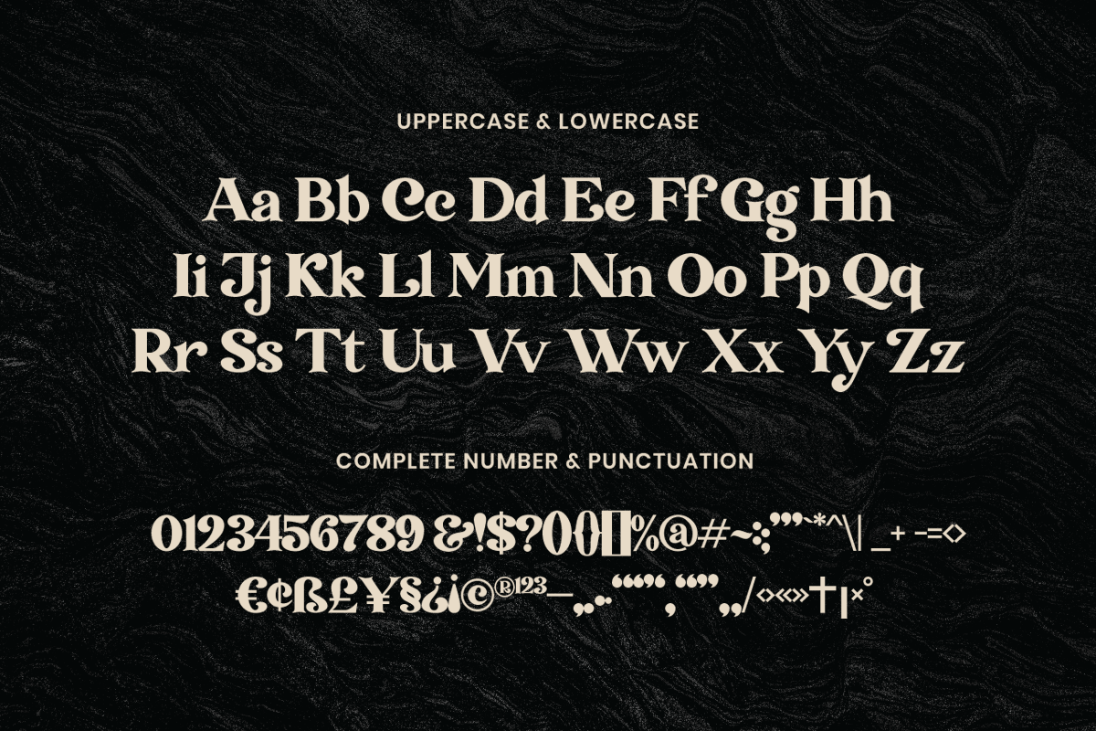 Transcity - A Playful Serif, a Serif Font by Dharmas Foundry (Photo 13 of 16)