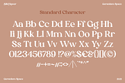 Silk Flower - Modern Serif, a Serif Font by Megi Satyo Widodo (Thumbnail 25 of 26)