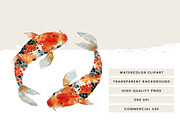Watercolor Koi Fish Clipart, an Animal Illustration by Design Scotch (Thumbnail 8 of 9)