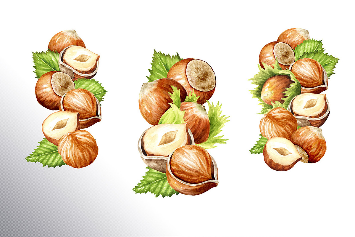 Huzelnuts. Watercolor collection, a Food Illustration by Daria Ustiugova (Photo 10 of 23)