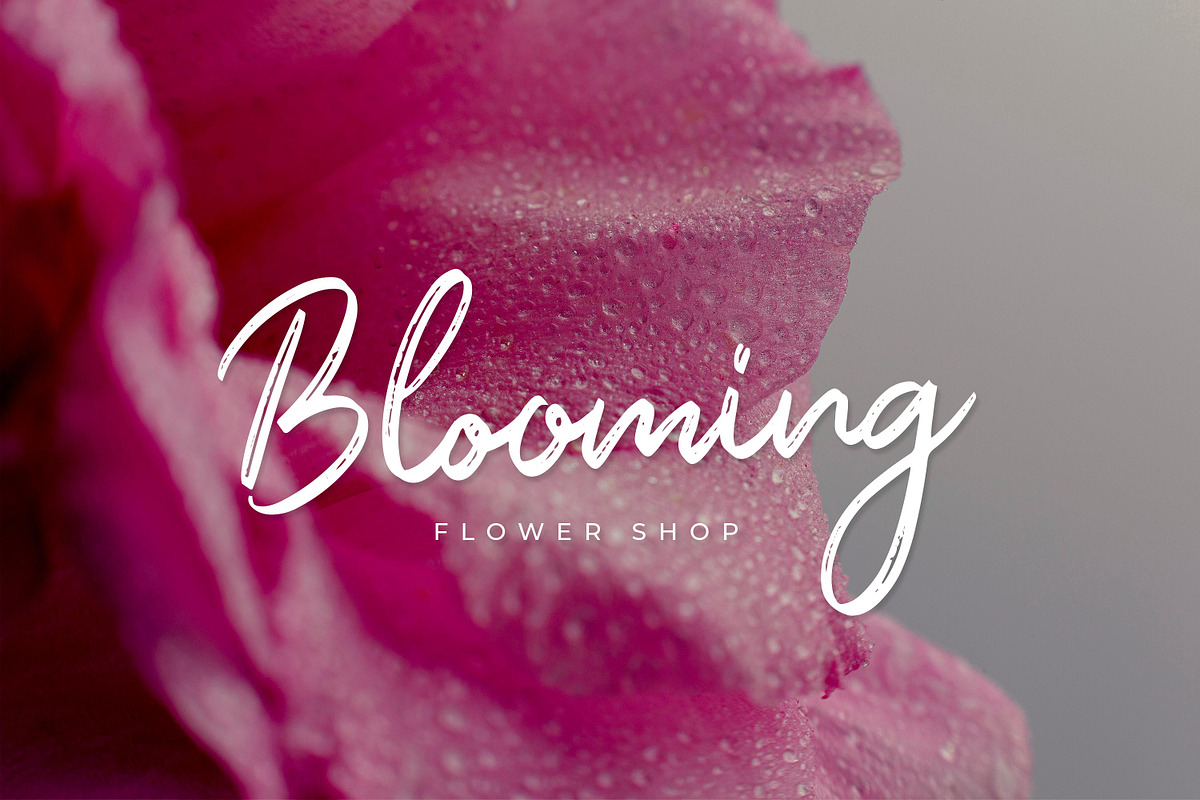 Orchide - Handwritten Brush Font, a Script Font by Almarkhatype (Photo 7 of 9)