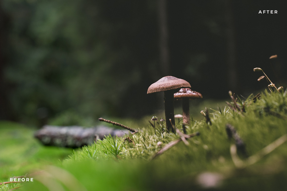 Fine Art Lightroom Presets - Bundle, an Action Add-On by PhotoMarket (Photo 18 of 103)