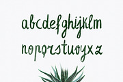 Leafy Extended Brush Font, a Script Font by Wild Ones (Thumbnail 4 of 8)
