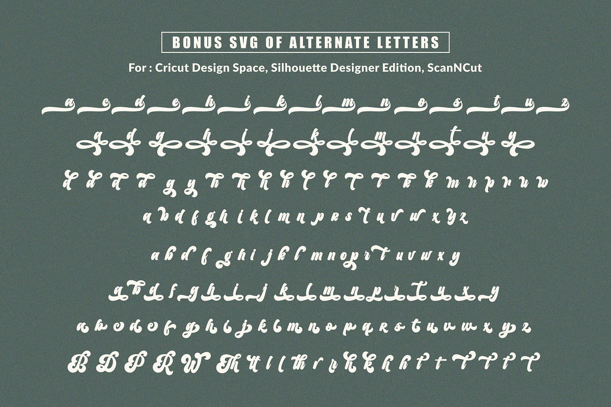 Retro Ashington - Vintage Font, a Script Font by Subectype Studio (Photo 11 of 11)