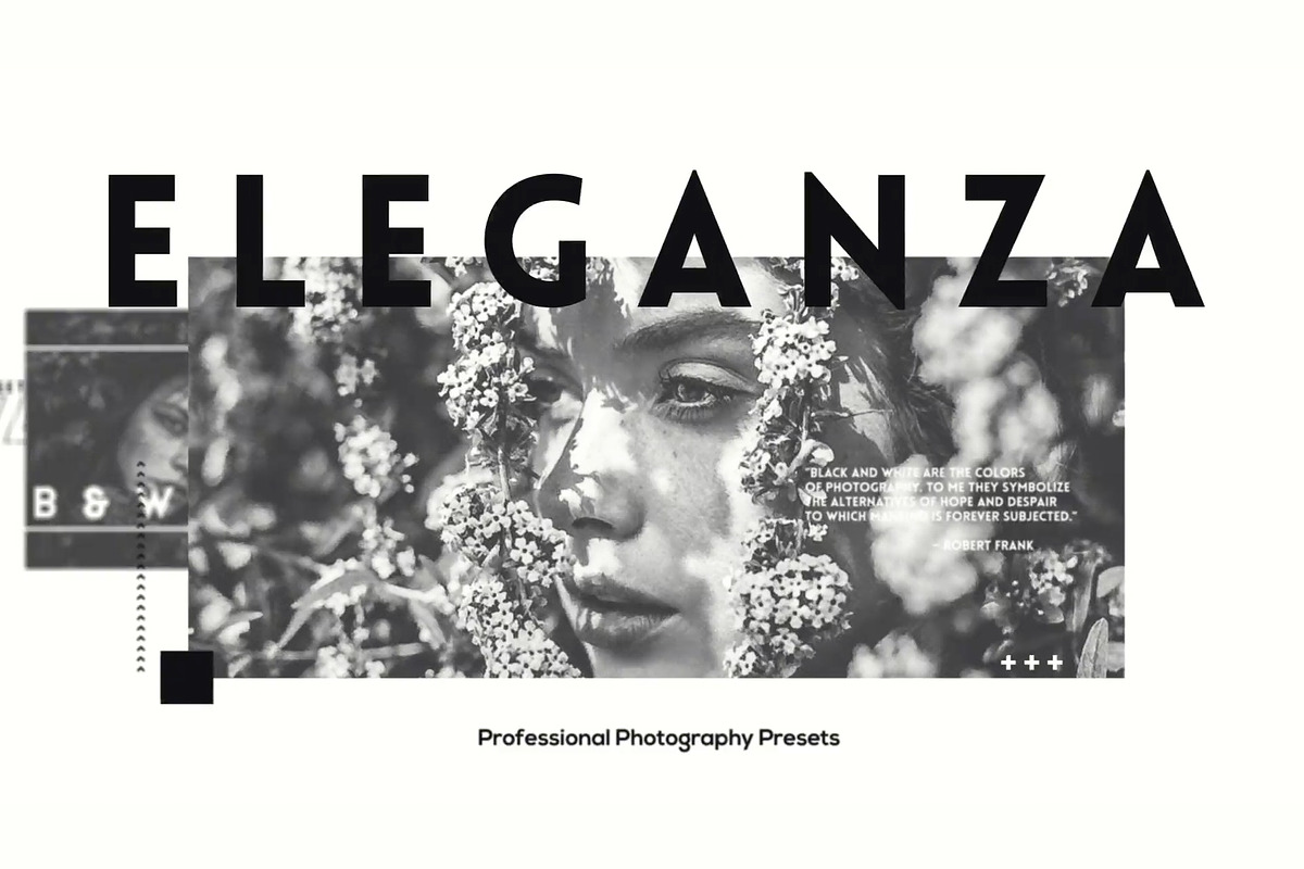 Eleganza - 74 B&W Lr Presets preview 4