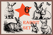 Farm animals collection, a Graphic by IPVector (Thumbnail 5 of 7)