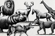 Wildlife Engraving Vector Pack, an Animal Illustration by Alternate Studio (Thumbnail 2 of 6)