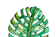 Watercolor palm leaves clipart, an Illustration by Watercolor_Vector Graphic (Thumbnail 3 of 15)