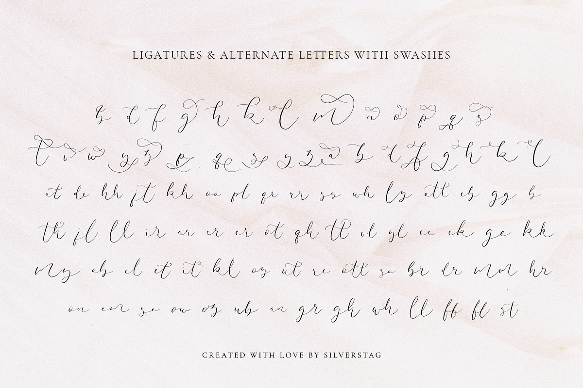 Amelie - Chic & Elegant Script Font, a Script Font by SilverStag Type Foundry (Photo 21 of 23)