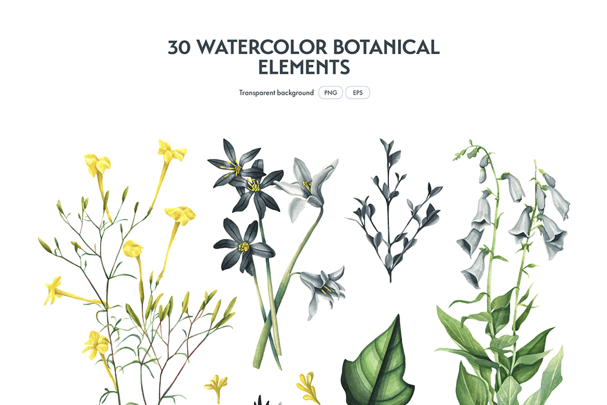 Botanical Watercolor Set, an Object Illustration by Manuka (Photo 3 of 6)