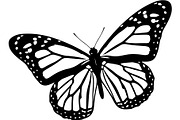 Butterfly Silhouette Bundle, an Object Graphic by Designer_Momina (Thumbnail 19 of 20)