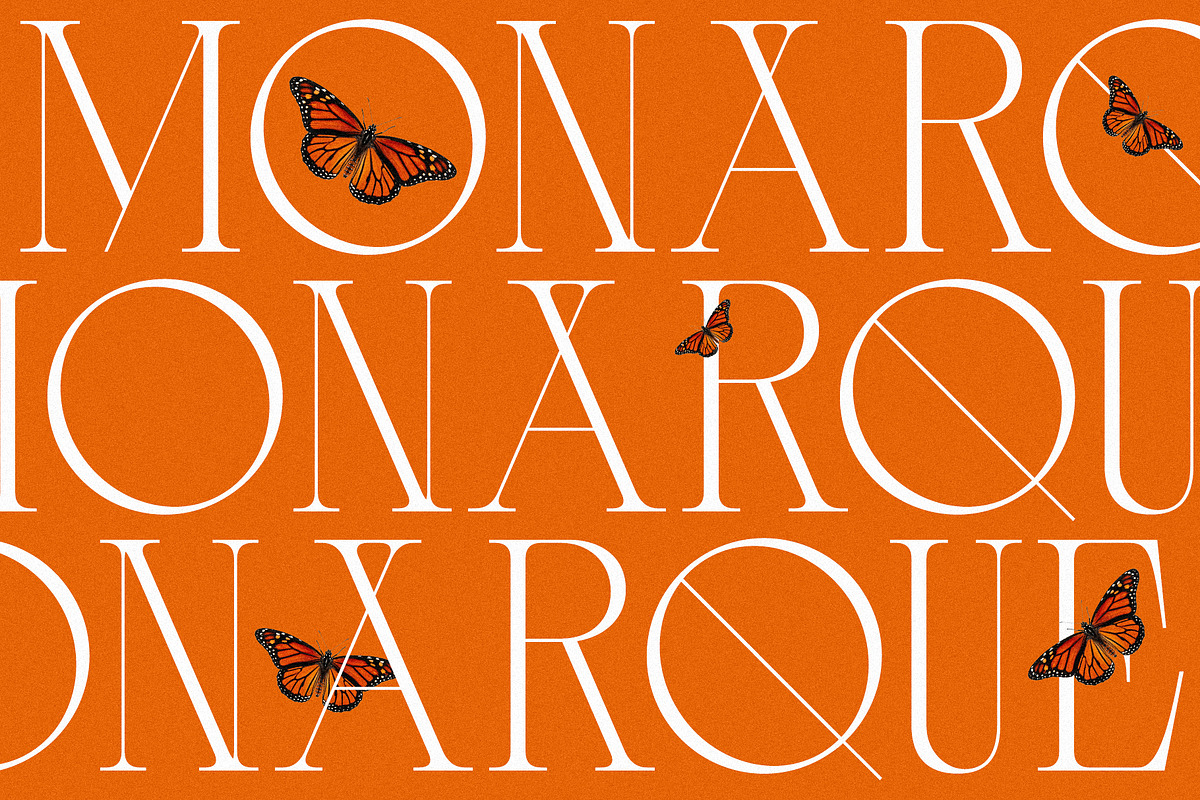 Monarque - Elegant & Chic Serif, a Serif Font by Mikhail Kitsune (Photo 3 of 8)