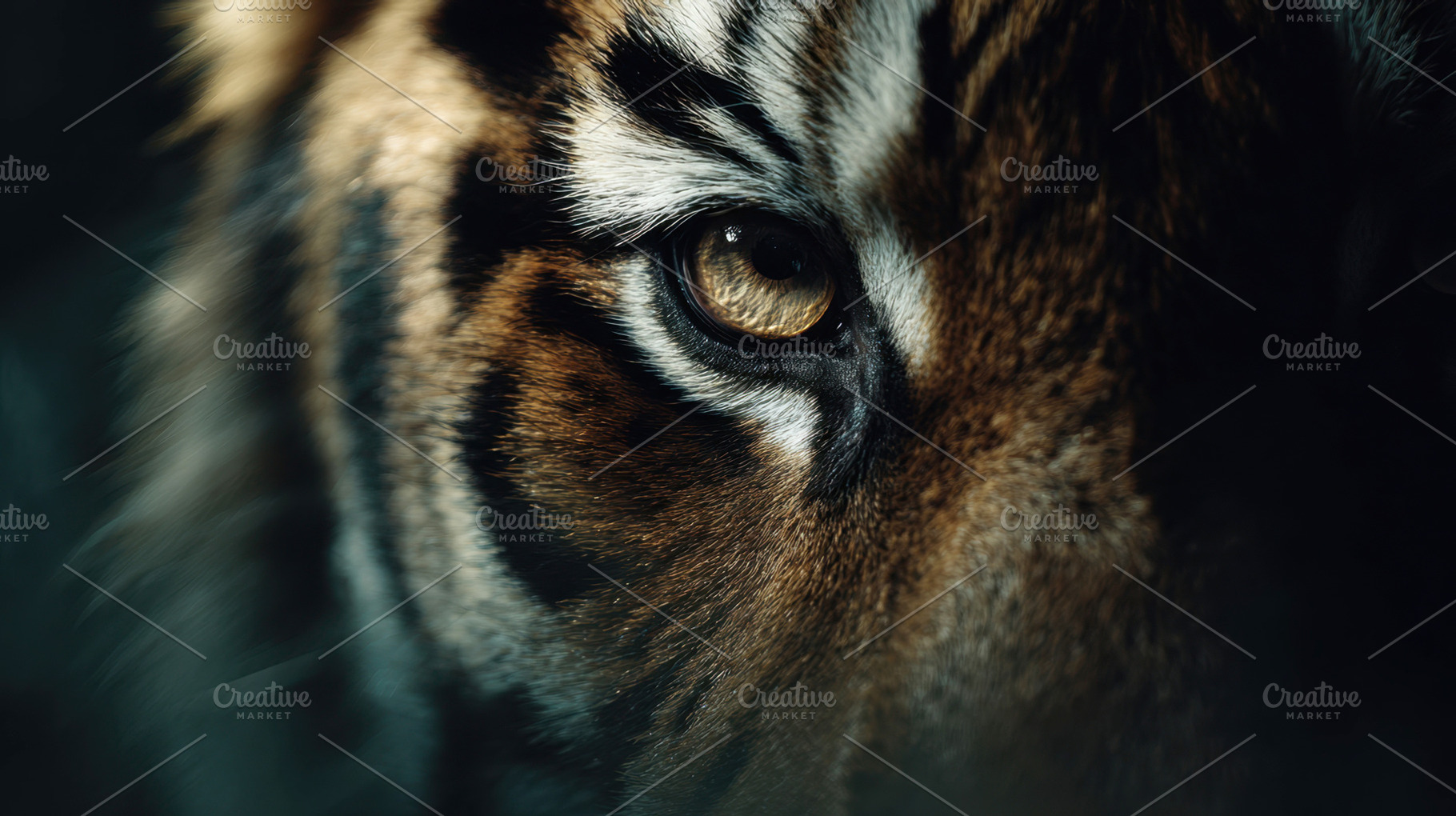 Tiger eye close up in wild, a Photo by Beautiful things