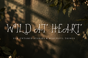 MEOWILD – Whimsical Hand Drawn Font, a Handwritten Font by Karma (Thumbnail 2 of 11)