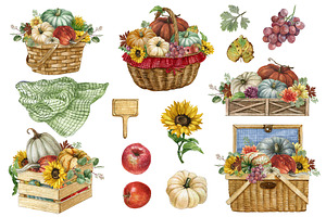 Watercolor Pumpkin Harvest Clipart