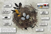Nature Craft – Procreate Brushes, a Brush Add-On by Nadiia Hanina (Thumbnail 4 of 8)