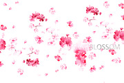 Cherry blossom, a Person Illustration by Knysh Ksenya (Thumbnail 2 of 7)