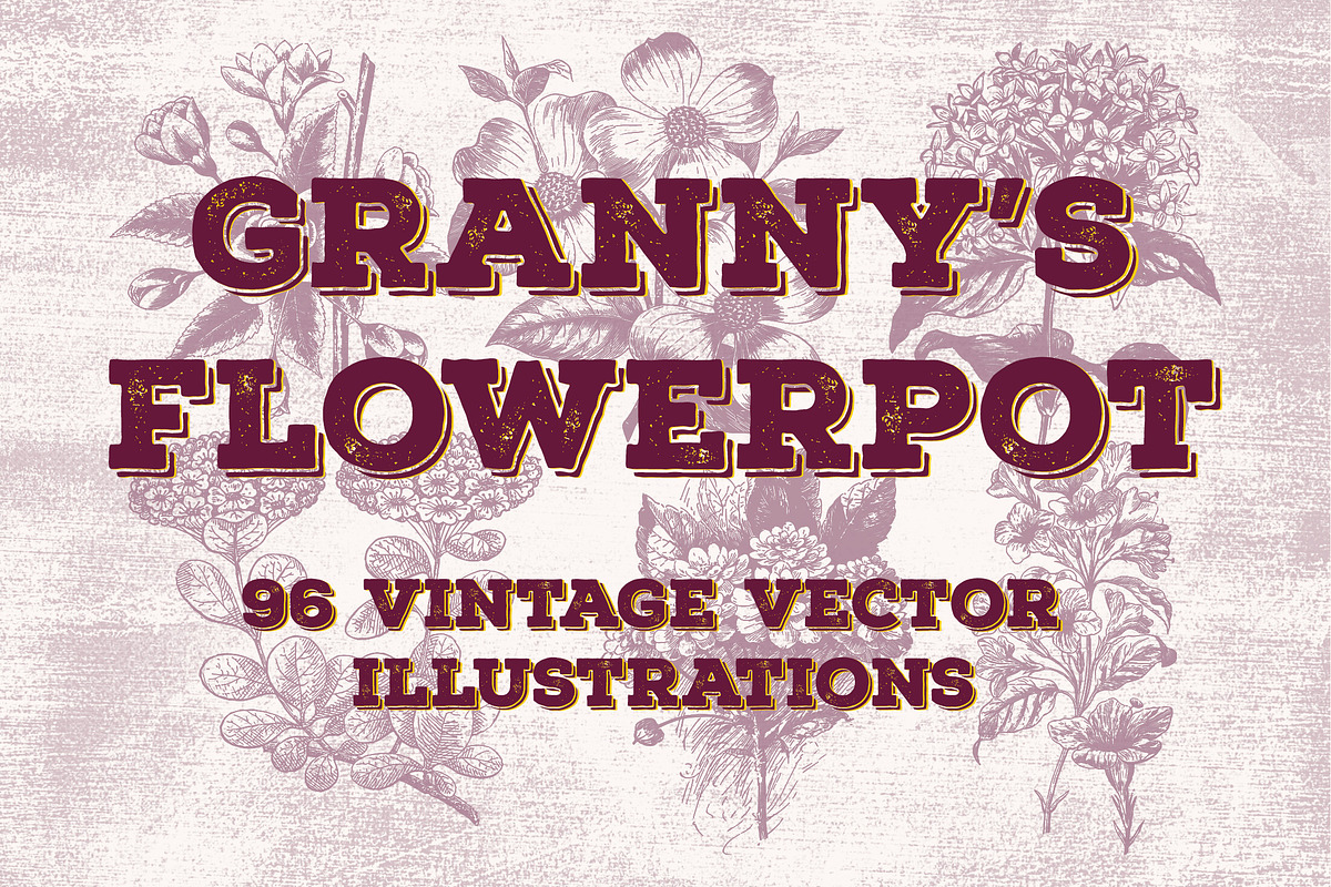 Vintage Flower Illustrations, an Illustration by TheBlackPixelCo (Photo 1 of 6)
