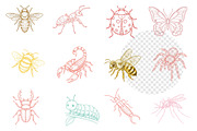 Hand Drawn Insects and Bugs Clipart, an Illustration by Dream Creation (Thumbnail 4 of 5)