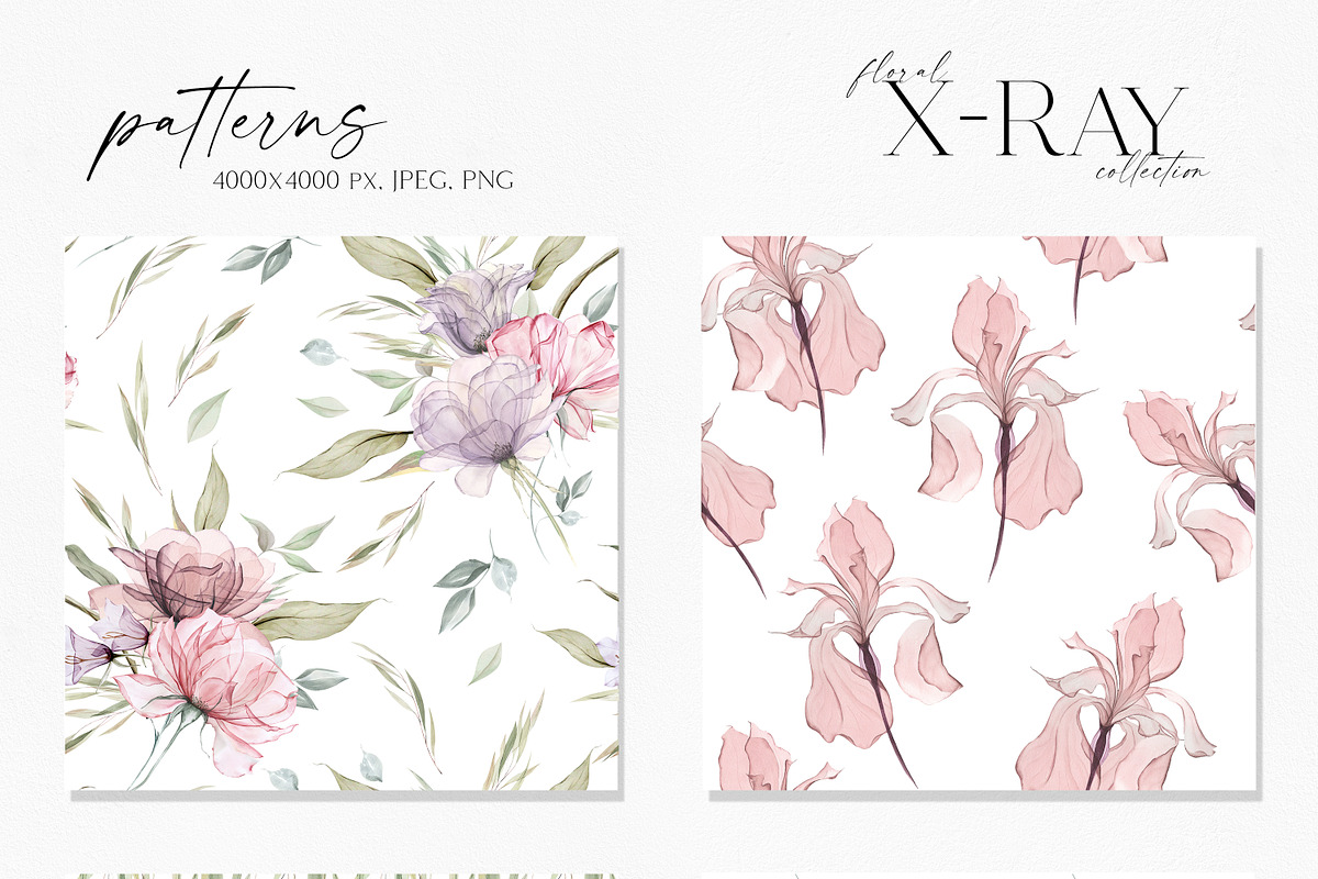 X-Ray Flowers Watercolor, an Object Illustration by Olga Koelsch (Photo 12 of 13)