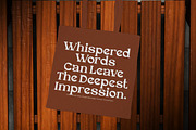 Veloura Modern Serif Display, a Serif Font by operatype.co (Thumbnail 2 of 8)