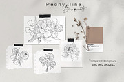 Peony Line Illustration - Flower Art, an Illustration by Ooh Lily (Thumbnail 3 of 12)