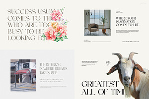 Minimalist Serif Font Bundle