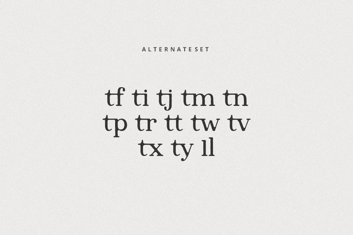 Inktype Font, a Serif Font by Burhan Afif (Photo 9 of 10)
