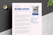 Sleek Corporate Resume Template, a Resume Template by ResumeInventor (Thumbnail 3 of 6)