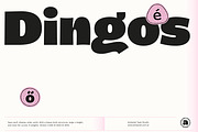Dingos | Compact Chunky Display Sans, a Sans Serif Font by Antipixel Type Studio (Thumbnail 16 of 16)