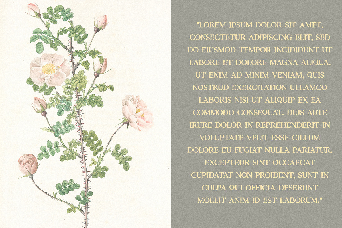 Piziza Brush Font, a Serif Font by Creativetacos (Photo 6 of 12)