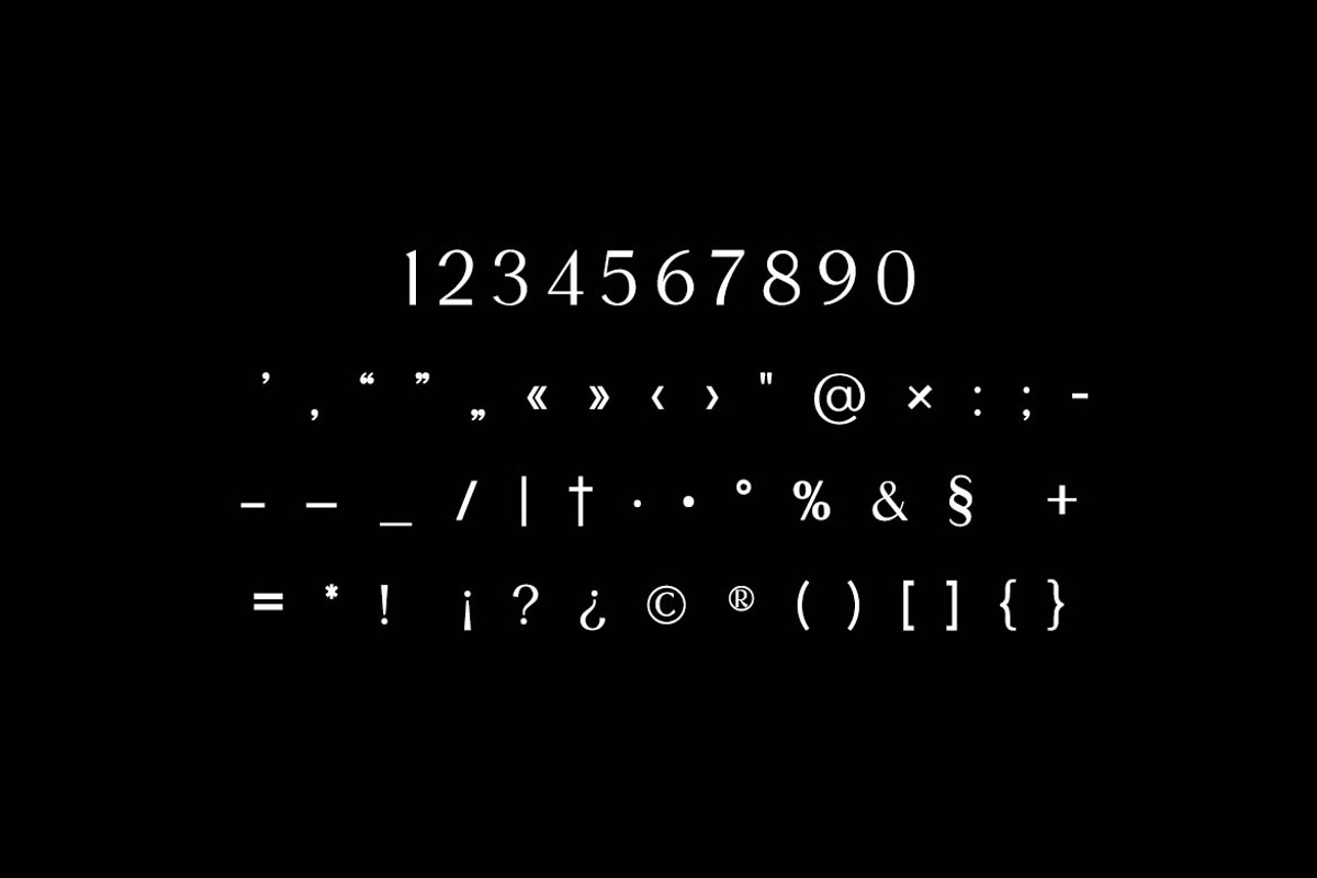 The Regalique Sans Serif Family Font, a Serif Font by UICreative (Photo 8 of 13)