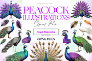 Peacock Clipart, Peacock Feather PNG, an Animal Illustration by BrushstrokeArtGB (Thumbnail 1 of 9)