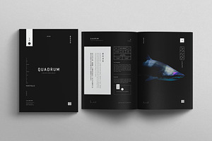 Quadrum | Portfolio