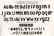 Milk Shack, a Script Font by FreshTypeINK (Thumbnail 4 of 7)