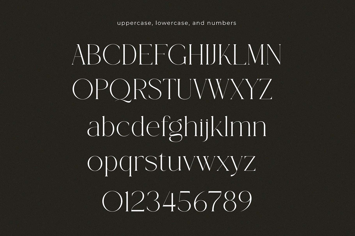 Classo - An Elegance Serif Font, a Serif Font by GridlineType (Photo 9 of 10)