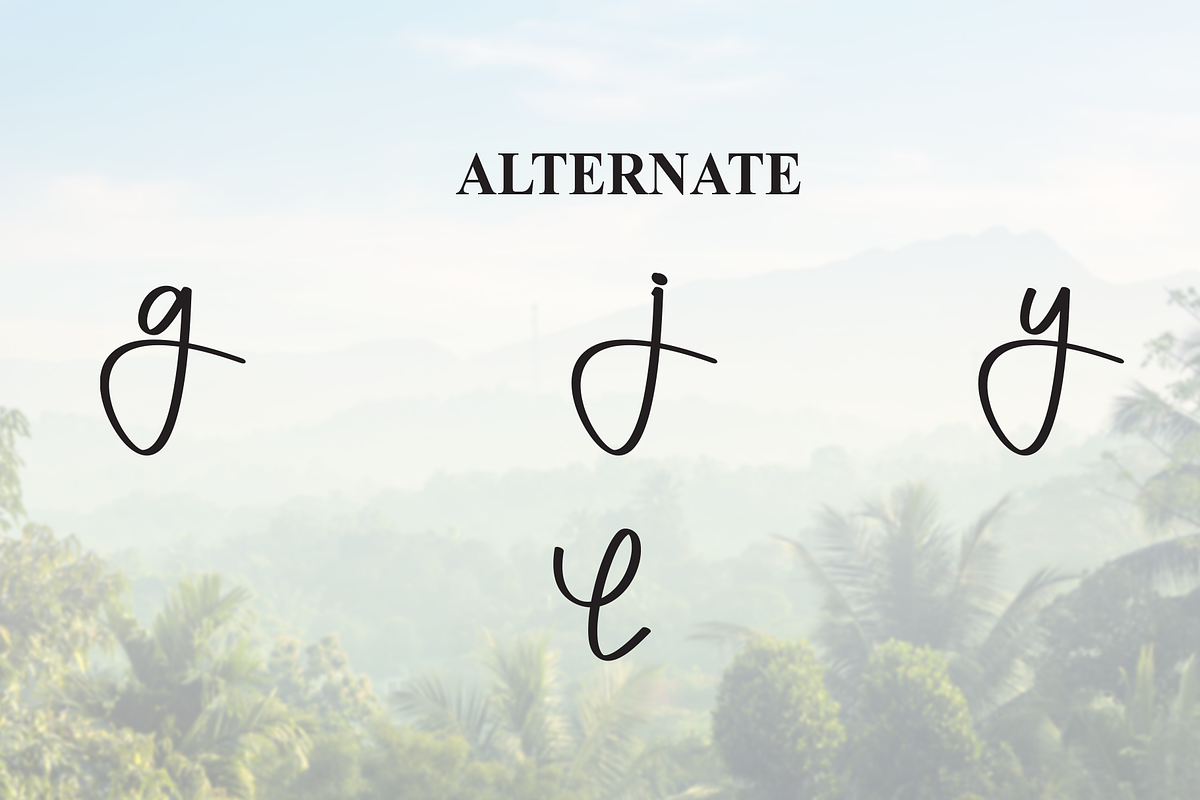 Jungle | Script Font, a Handwritten Font by Scratchones (Photo 8 of 9)