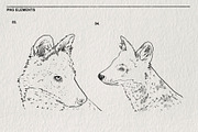 Red wolf animal sketches PNG, an Animal Illustration by LOKSKIH (Thumbnail 4 of 5)
