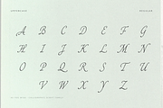 As you wish - Fonts, a Script Font by Lilithcollageart (Thumbnail 6 of 14)