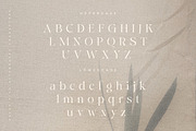 Caghen | Rich Ligature Serif, a Serif Font by Pentagonistudio (Thumbnail 9 of 9)