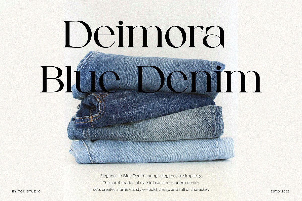 Chetta Vissto, a Serif Font by ToniStudio (Photo 3 of 9)
